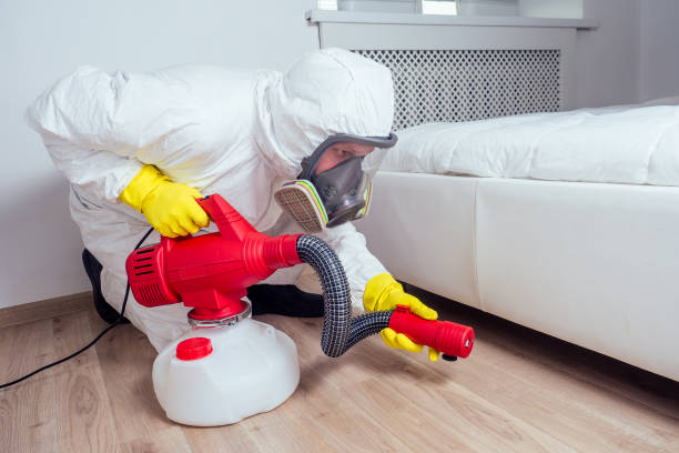 Best Indoor Pest Control  in Interlaken, CA